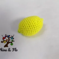 Coffret de 10 fruits